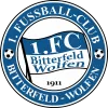 Bitterfeld-Wolfen II